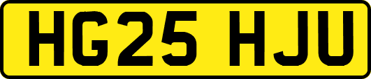 HG25HJU