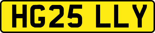 HG25LLY