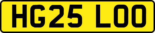 HG25LOO