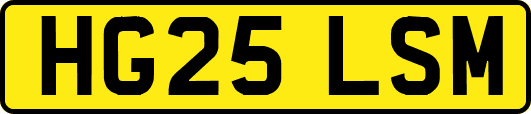 HG25LSM