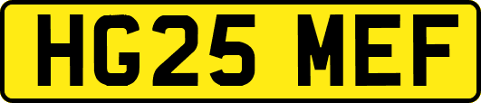 HG25MEF