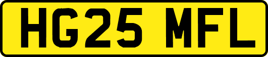 HG25MFL
