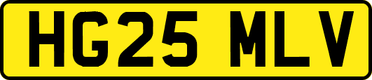 HG25MLV