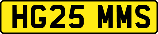 HG25MMS