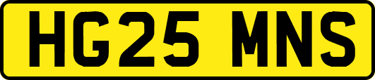 HG25MNS
