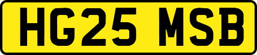 HG25MSB