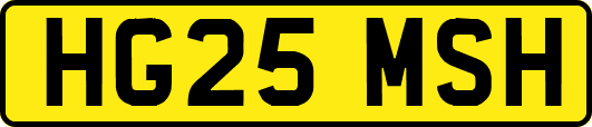 HG25MSH