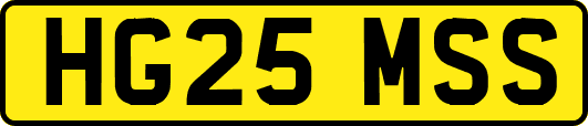 HG25MSS