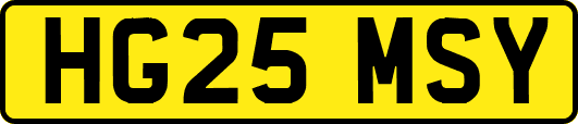 HG25MSY