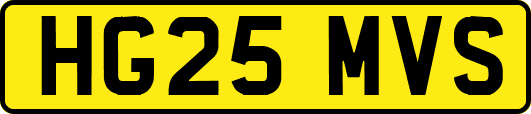 HG25MVS