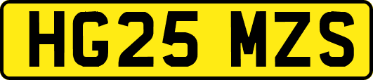 HG25MZS