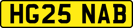 HG25NAB
