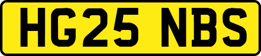 HG25NBS