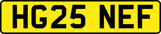 HG25NEF