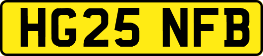 HG25NFB