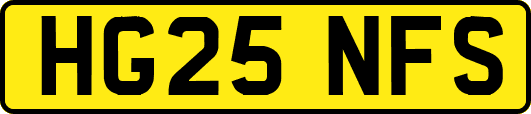 HG25NFS