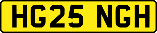HG25NGH