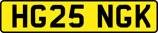 HG25NGK