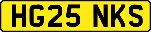 HG25NKS