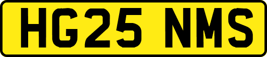 HG25NMS