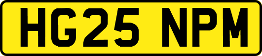 HG25NPM
