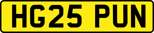 HG25PUN
