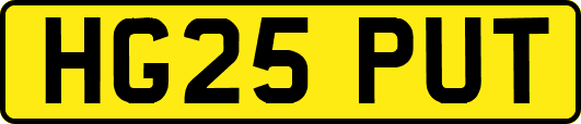 HG25PUT