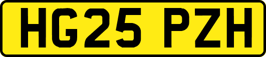 HG25PZH
