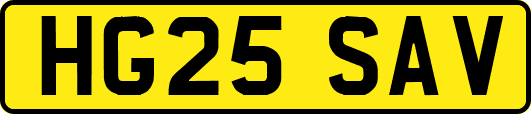 HG25SAV