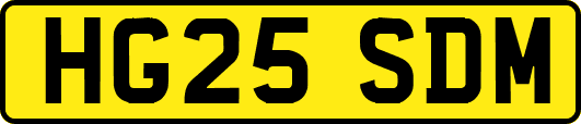 HG25SDM