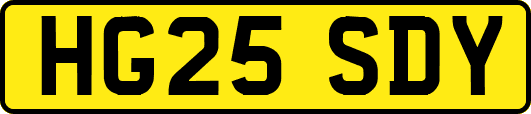 HG25SDY