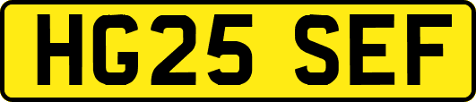 HG25SEF