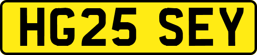 HG25SEY