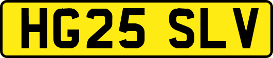 HG25SLV