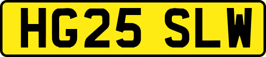 HG25SLW