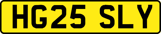 HG25SLY