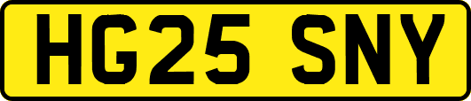 HG25SNY