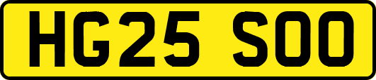 HG25SOO