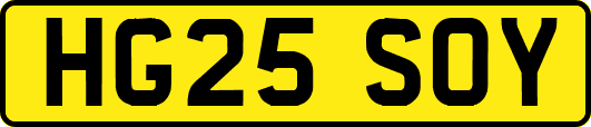 HG25SOY