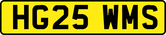 HG25WMS