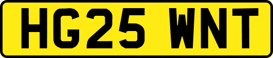 HG25WNT