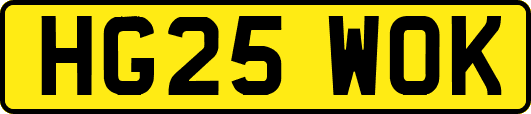 HG25WOK