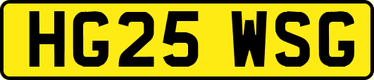 HG25WSG