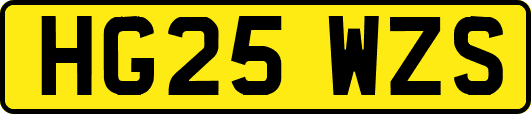 HG25WZS