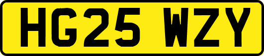 HG25WZY