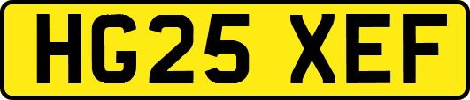 HG25XEF