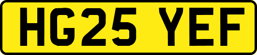 HG25YEF