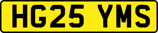 HG25YMS