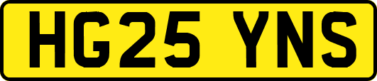 HG25YNS