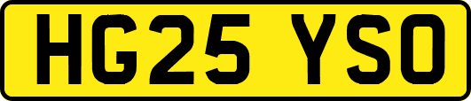HG25YSO